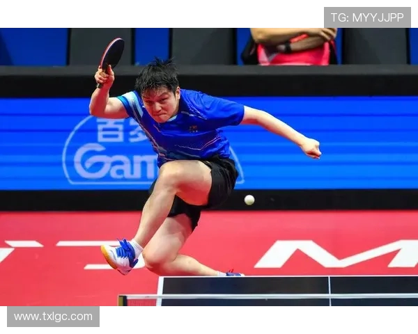 樊振东以实力与拼搏精神引领中国乒乓球队再攀世界巅峰