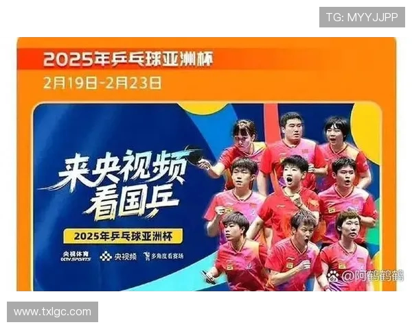 乒乓球热议聚焦北京乒乓球队技术争议与未来发展方向探讨