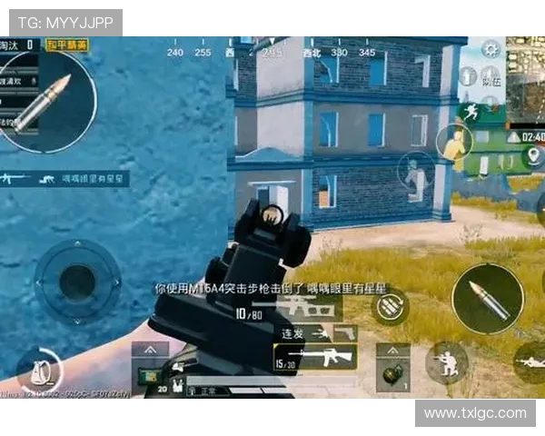 聚焦和平精英战术分析：BLG战队的战略布局与团队协作探讨