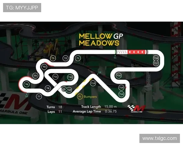 赛后复盘分析：WE与V5对决中的战术布局与关键时刻解析