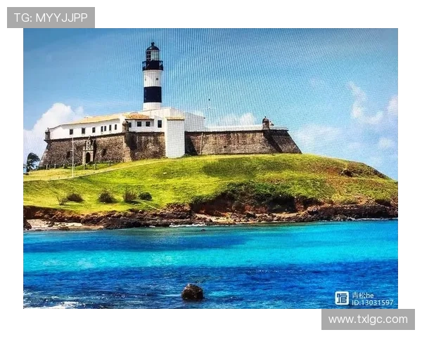 巴西与萨尔瓦足球对决精彩纷呈谁能在绿茵场上笑到最后